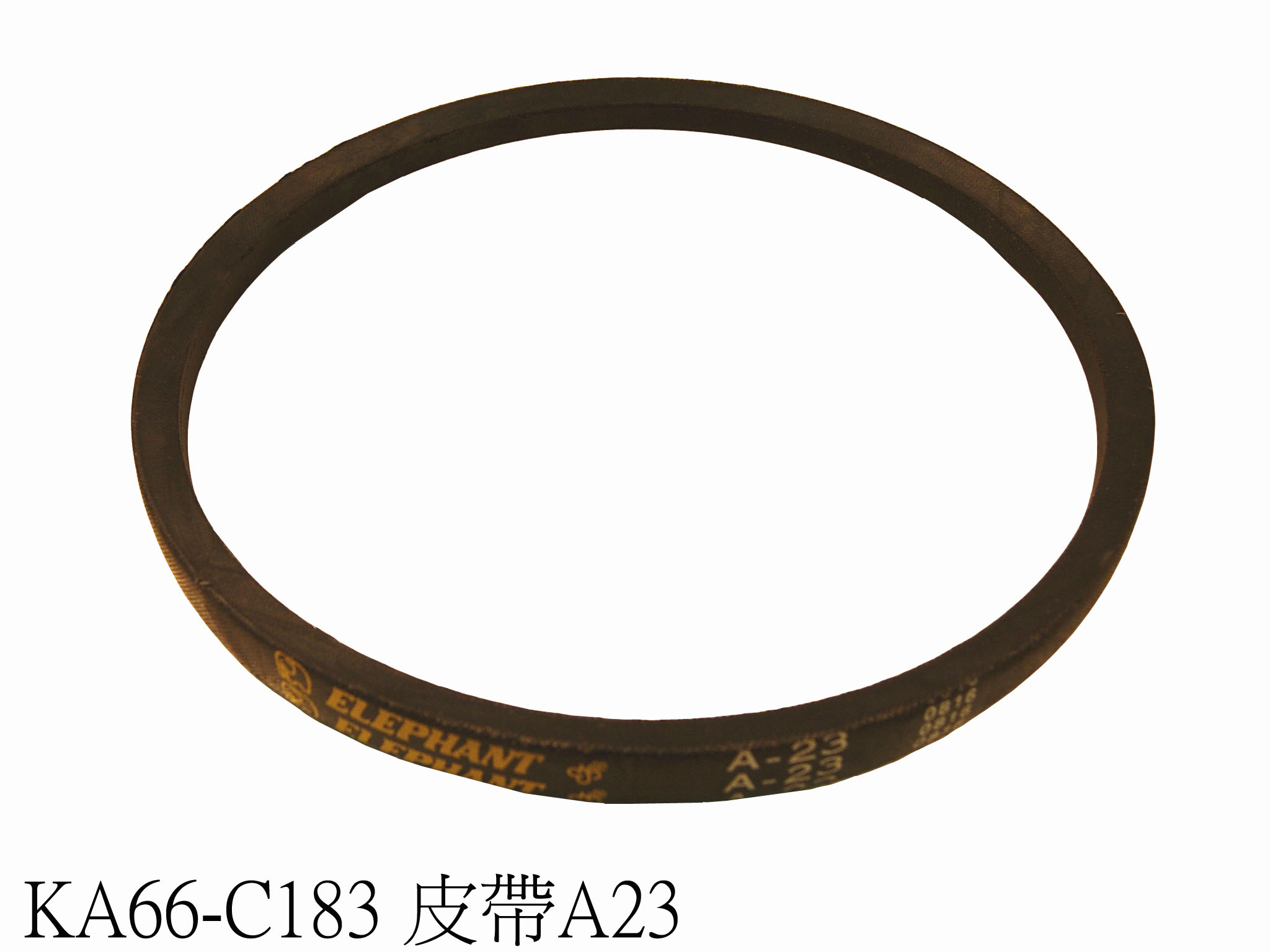Belt A23